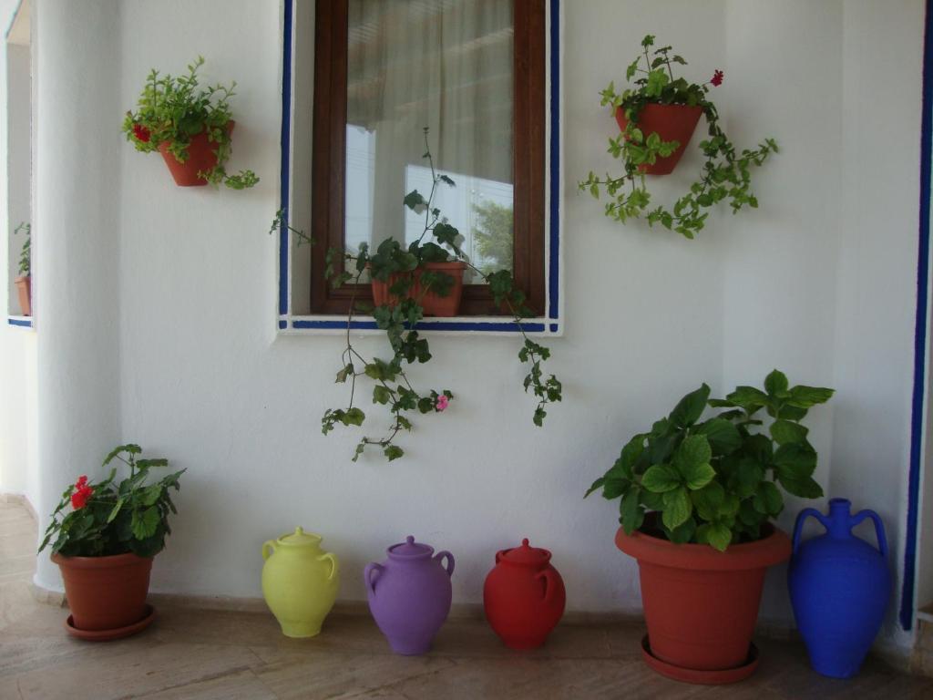 Eden Hotel Bodrum Buitenkant foto